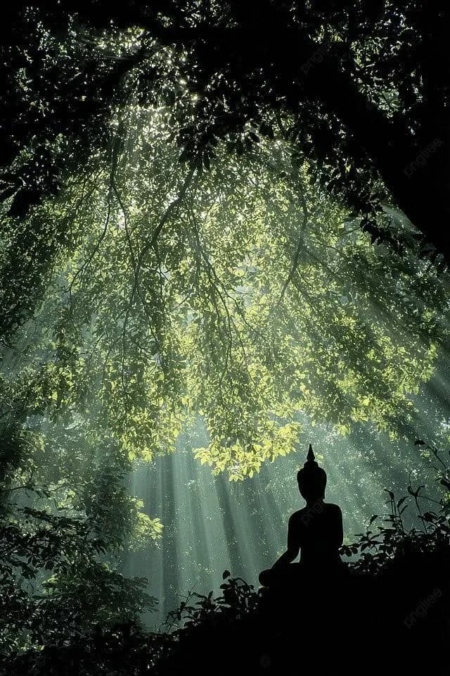 Silhouette of a Buddha statue under a forest canopy with sunlight streaming through