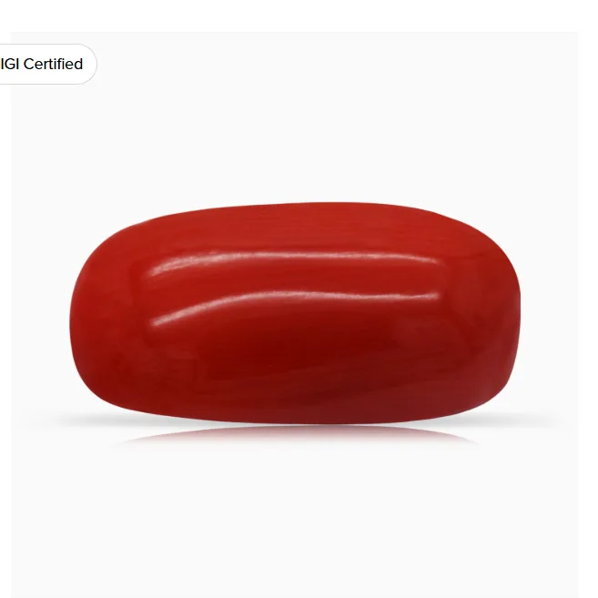 An oval red coral