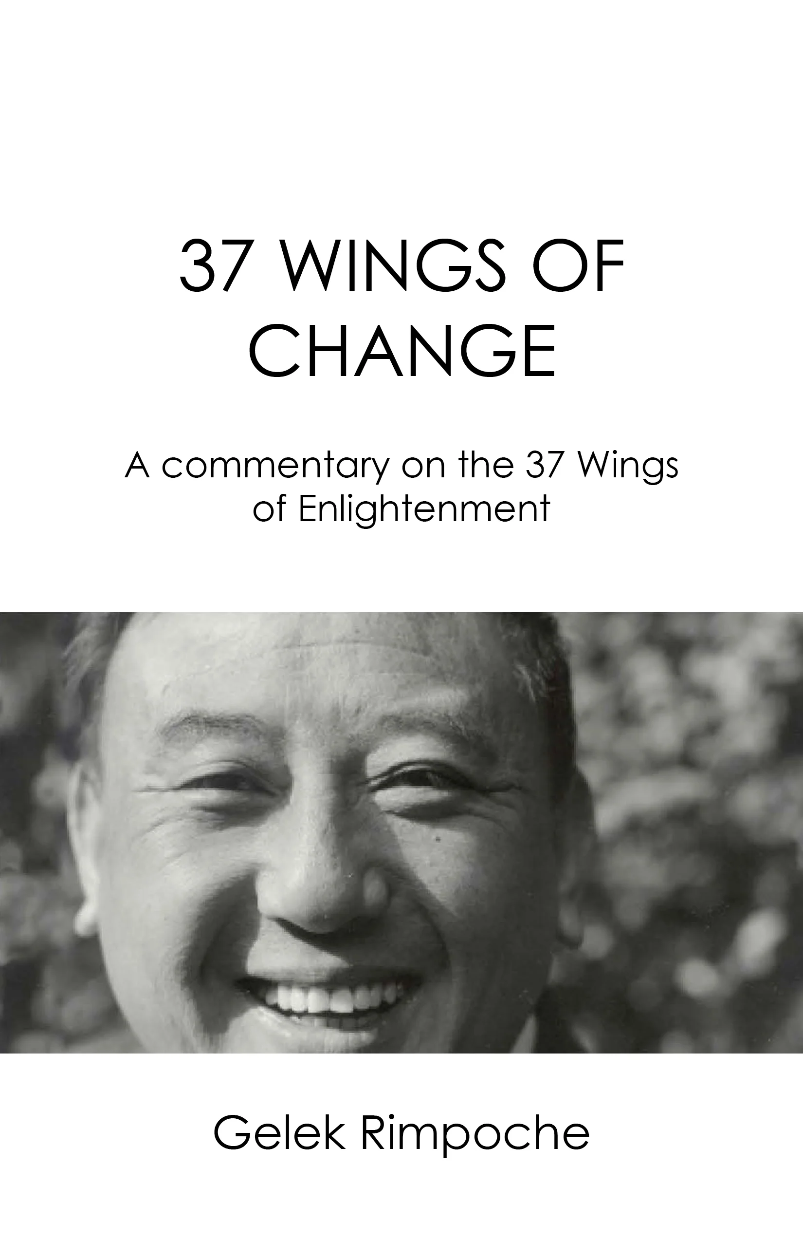 Cover of 37 Wings of Change