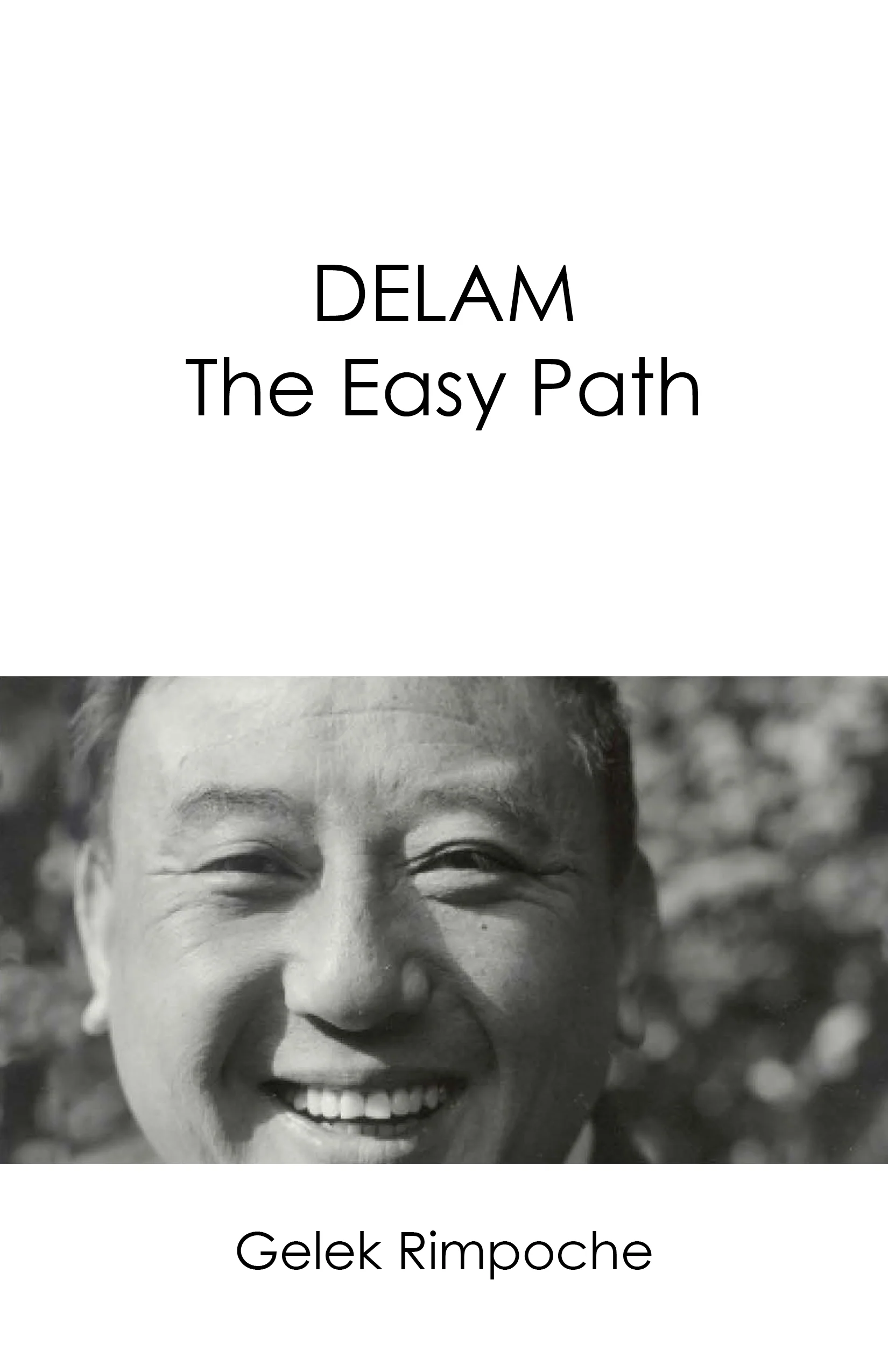 Cover of Delam: The Easy Path