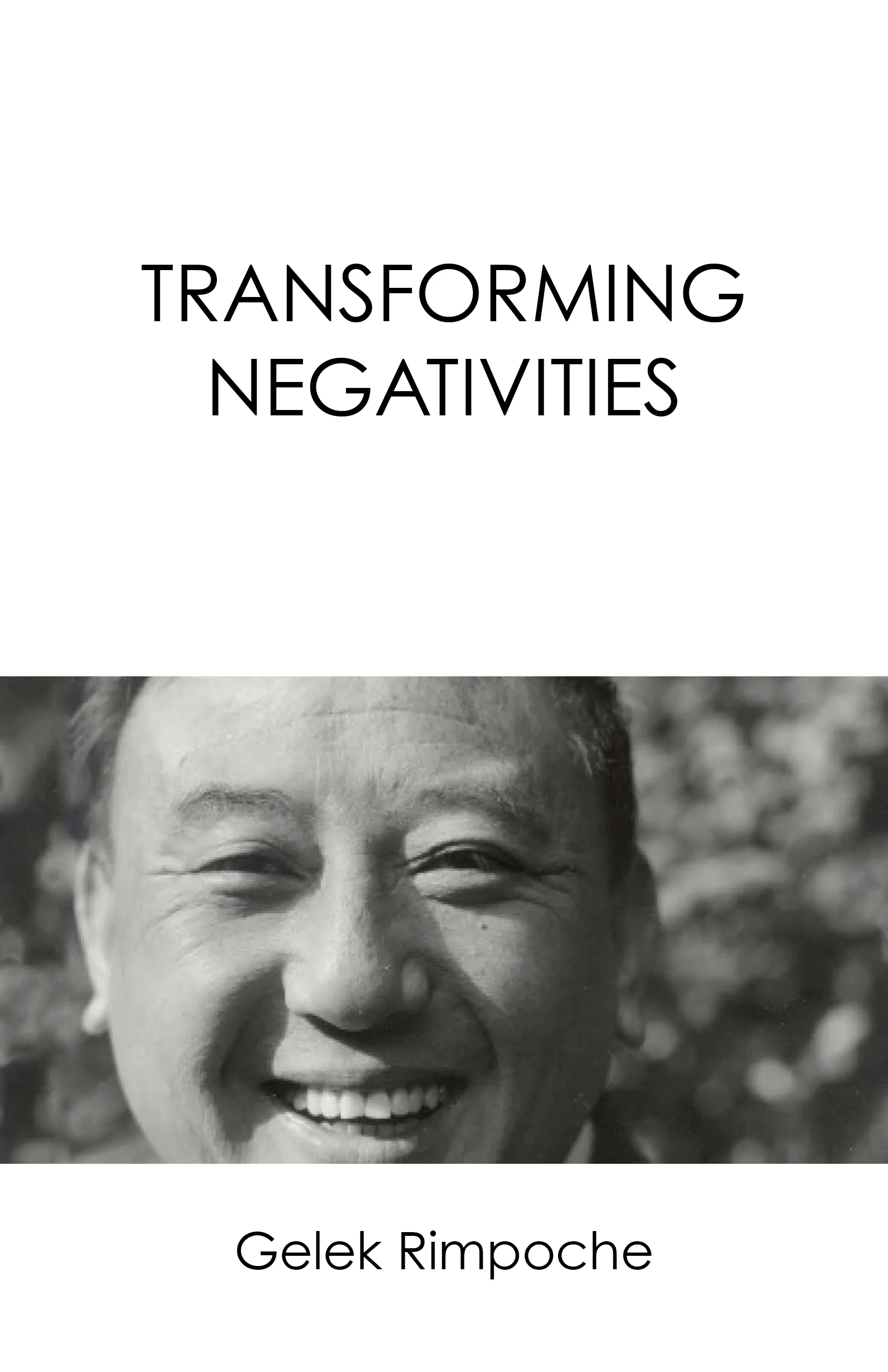 Cover of Transforming Negativities