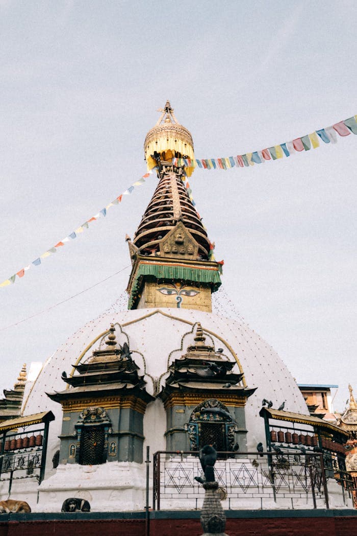 A white stupa with a gilded spire and painted eyes, hung with prayer flags