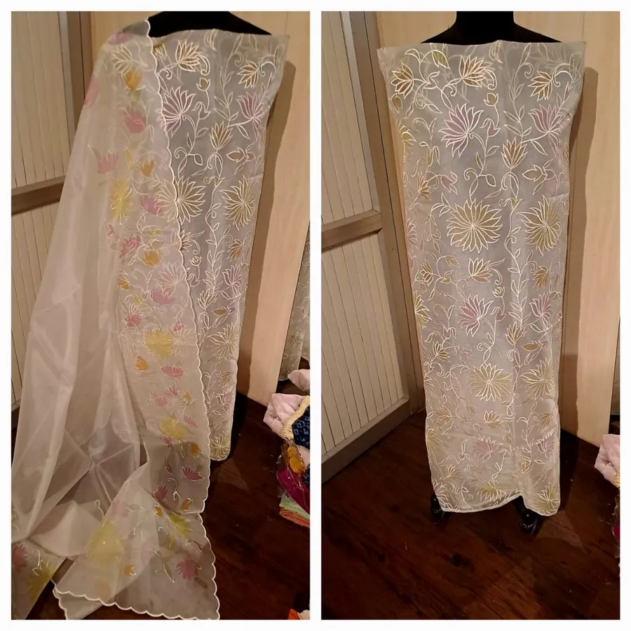 Hand-Painted Suit & Dupatta Set — Champagne with Floral Embroidery